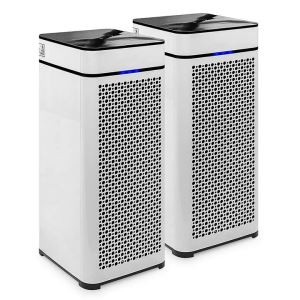 Luftrenser med anion