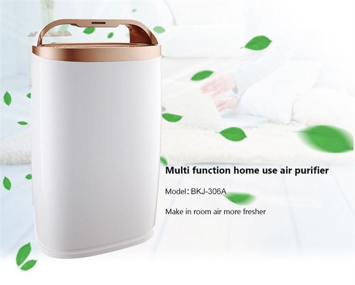 BKJ-306A Home Air Purifier With Handles