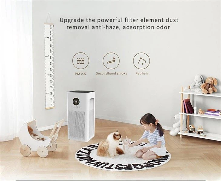 BKJ-55A Healthy Air Fresh Air Purifier China OEM