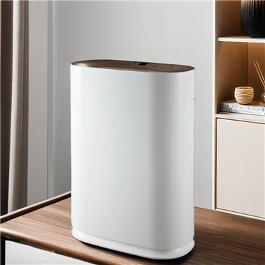 BKJ-300 PM2.5 Display Smart Home luftrenser