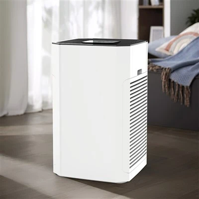 Bkj -80 b Intelligent luftrenser for store rom